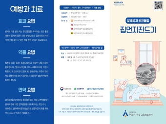 갤러리